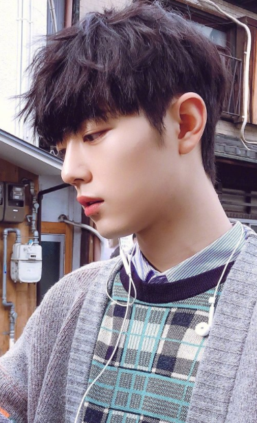 肖战|肖战和双向奔赴的爱