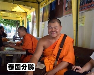 关晓彤|岳云鹏全球分鹏,11个“岳云鹏”各有各帅,被徒弟编成剧本