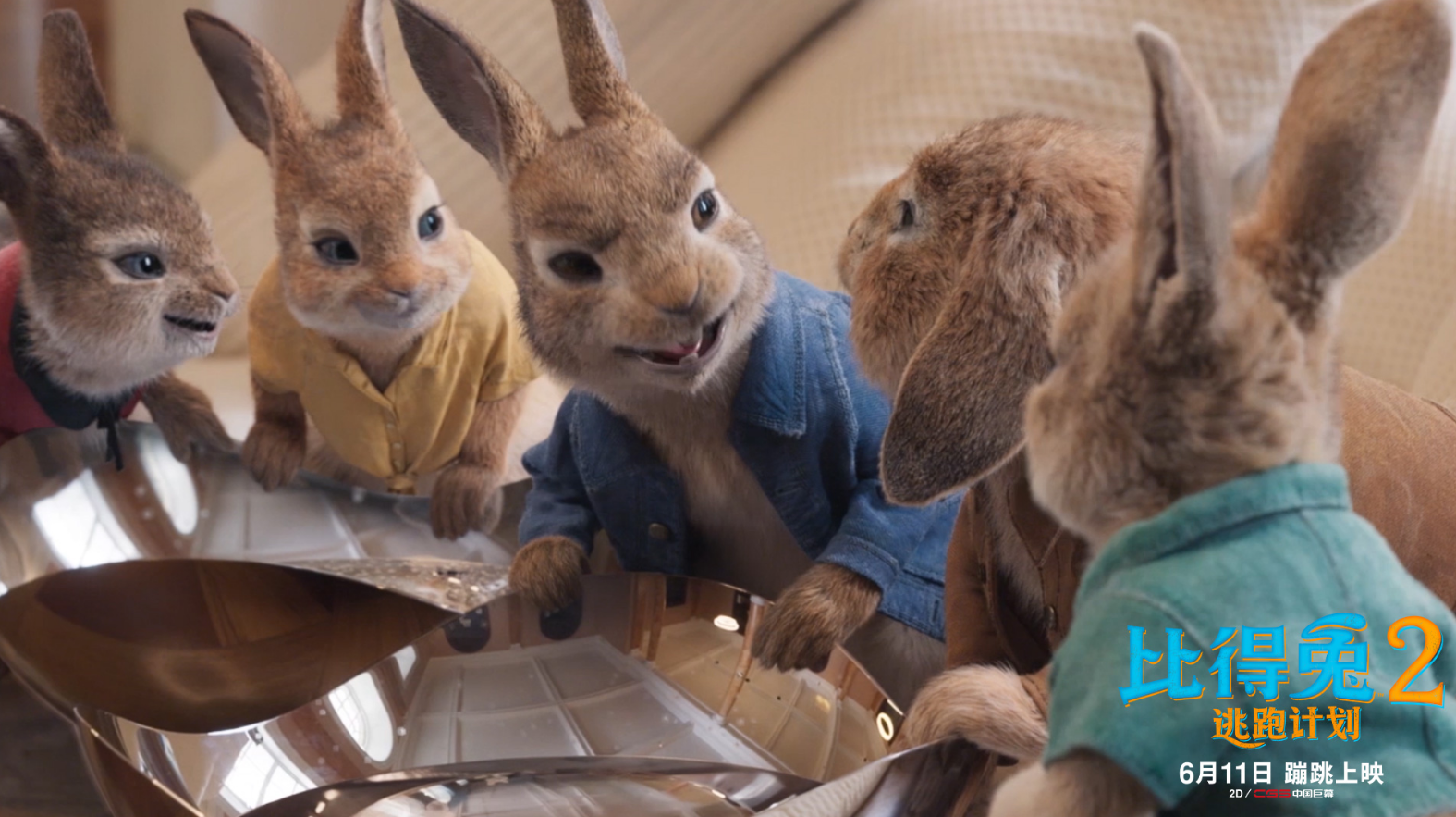 包贝尔|端午档首轮混战，包贝尔新片9小时票房仅273万，还要面对两大强敌