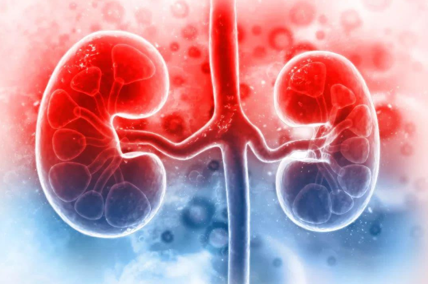 疾病|慢性肾病怕拖延?身体出现4种变化,建议立马检查肾功能