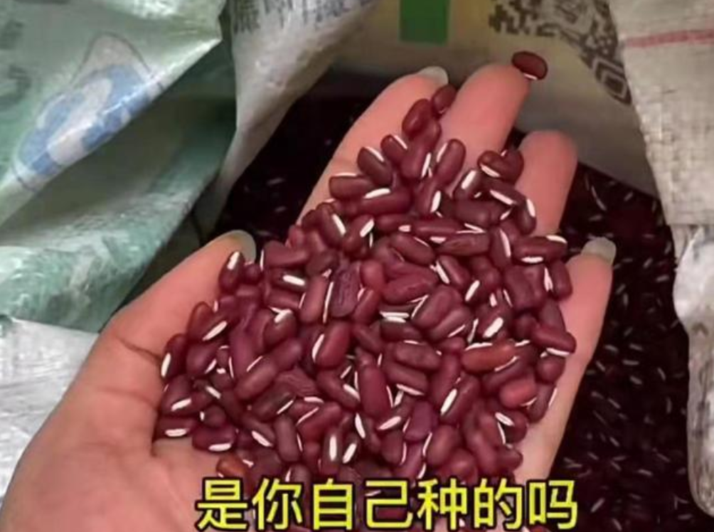 悠悠聊社会 70岁老奶奶躲墙角卖“野货”，偶遇好心网友，拿到钱不敢相信