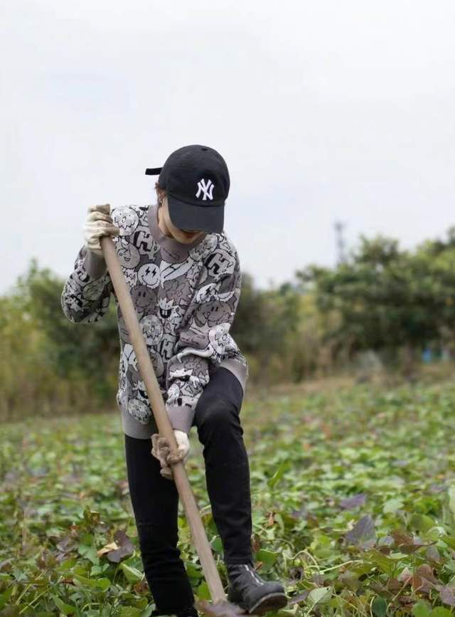 玻璃水瓶 邓超孙俪带孩子参加接地气的挖红薯活动