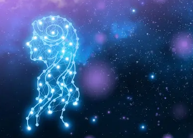 玛莎拉拉 看起来很高冷，但是内心却很柔软的星座你知道都有谁吗？