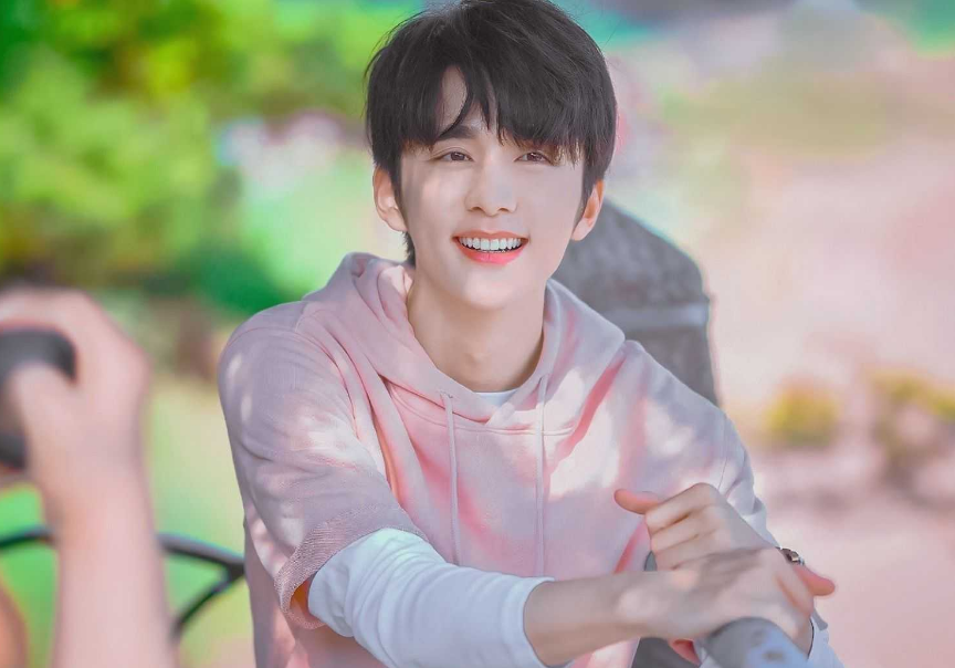 董卿|同是中戏出身，张新成的资源，为什么不如学弟刘昊然