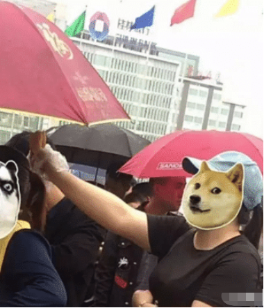 |“在租的房子里打扫卫生的时候发现的，要不要告诉房东？”