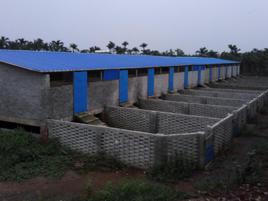 小然说奇闻|羊舍太潮湿怎么办?注意这些措施,及时去解决相关的问题