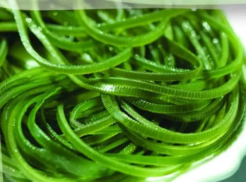 甲状腺结节|35岁快递员确诊甲状腺结节，医生：1种食物是祸首，常吃或致癌