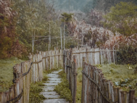 桐庐 杭州“后花园”的桐庐，是烟火人间的“桃花源”，被大自然征服