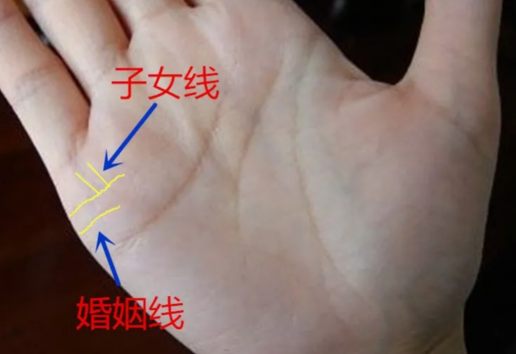 诚然情感之事|如何看子女线的手相