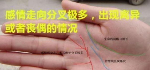 玄风命理|一生苦命的人，其手相特征！