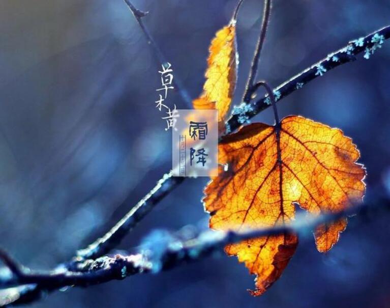 空调|空调行业再遇危机？“移动式地暖”备受瞩目，10分钟升温12°C