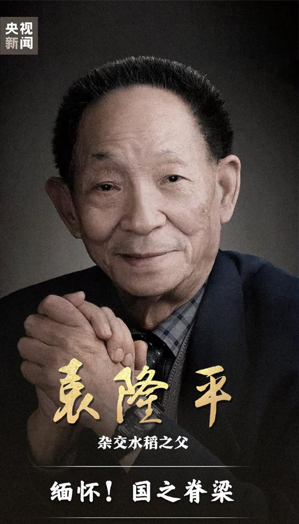 天下通 袁隆平心系同胞，一生只为科研水稻，只求不再有人食不果腹