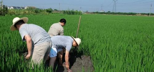 冰点点 废除多年的“农业税”又开征了?是传言还是可信,农民想知道答案