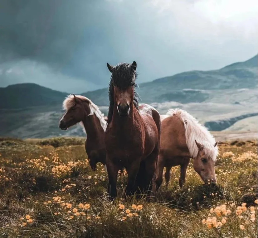  巴夏Bashar：奇迹，不是例外，体验不到奇迹，才叫异常!