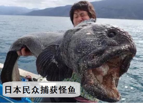 胡凤山 辐射致癌！日本福岛民众担心核辐射不敢吃鱼！