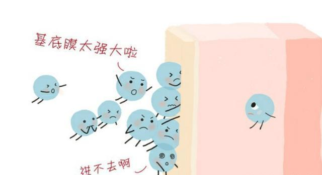 好物官|佟丽娅主持晚会状态好，除了主持功力，还应该夸夸她的好皮肤