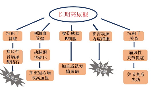 痛风|无论男女，排尿时有“3个异常”，肾脏或早已被“掏空”，尽早检查