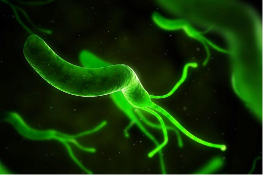 幽门螺杆菌|新婚夫妻双双幽门螺杆菌值“爆表”，只因常做2件事，医生提醒：年轻人得“克制住”