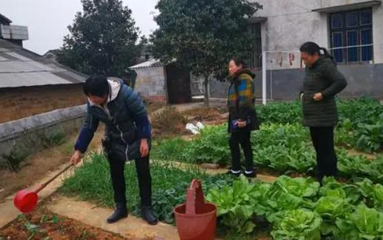 农作物|使用粪便浇菜不卫生还有细菌，专家提议禁止，你如何看？