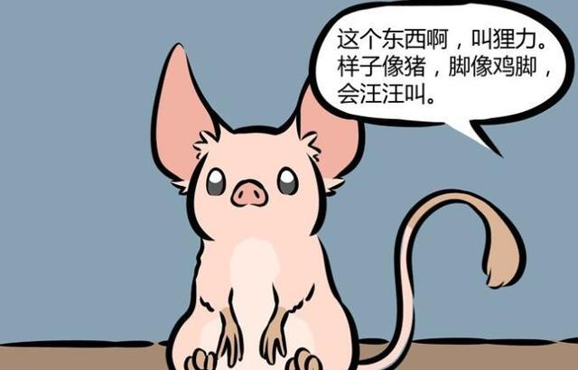 敖烈|非人哉：九月敖烈放生狸力，对方在森林盖起违章建筑，还上了新闻