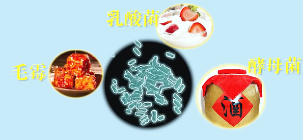 电冰箱发明前,人类如何保存食物