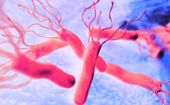 痔疮|胃的“保护伞”找到了，不是小米粥，平时敞开吃，清幽门，胃强壮