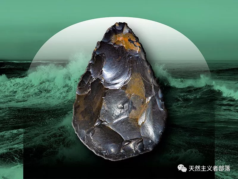 尼安德特人克里恩的微笑