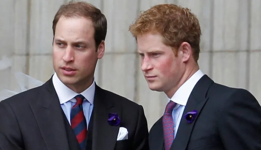 威廉|《哈里和梅根：逃离王宫》上映被喷，哈里满头浓发而威廉还是秃的