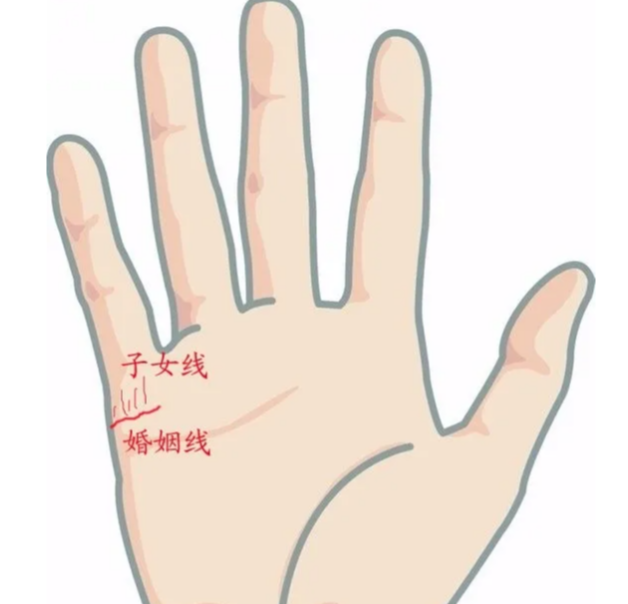诚然情感之事|教你从手相看未来婚姻