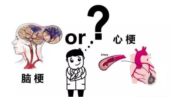 甘油|降甘油三酯的“冠军”已发现，不是绿豆，晨起吃2口，疏通血管，血脂降了