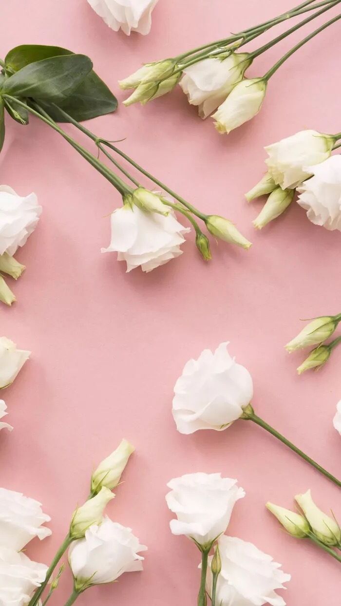 星座性格|成长道路上，智商越来越高的3个星座，经常一点就透