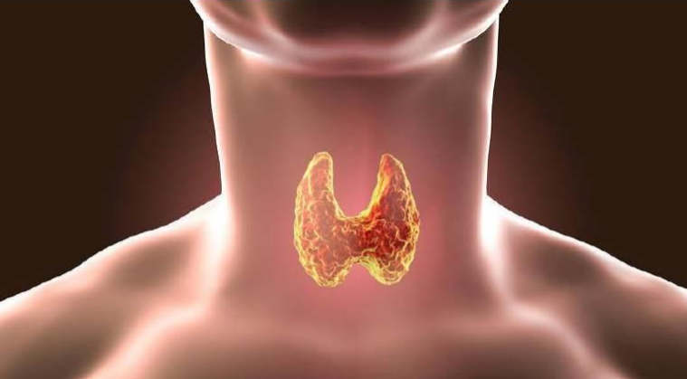 医生|吃一次等于10袋盐，很多人吃上瘾，医生怒斥：无知，都是自毁甲状腺