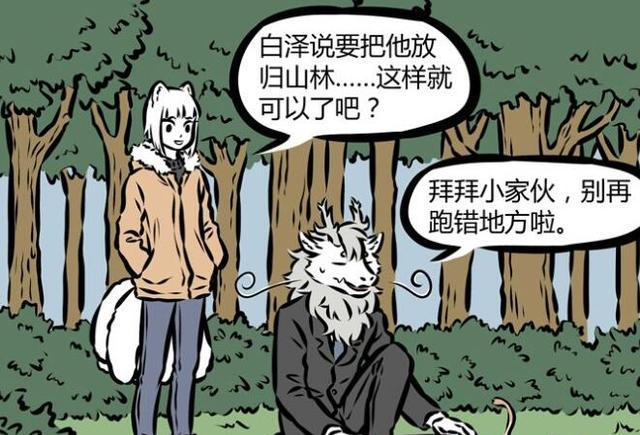 敖烈|非人哉：九月敖烈放生狸力，对方在森林盖起违章建筑，还上了新闻