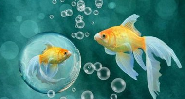  天空为什么是蓝色的？