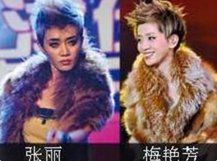 梅艳芳|费尽心思整容成“梅艳芳”,没日没夜的捞金,金星见她都感叹太像