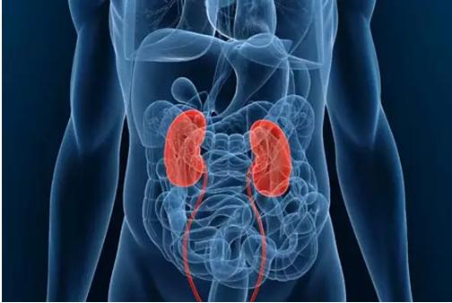 降压药|高血压患者：长期服用降压药，身体会有5个变化，别不放心上