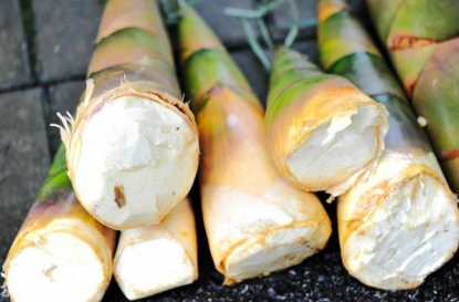 天天听健康|骨质疏松的“发物”是豆腐?骨科医生:少吃这3物,骨骼或感激你