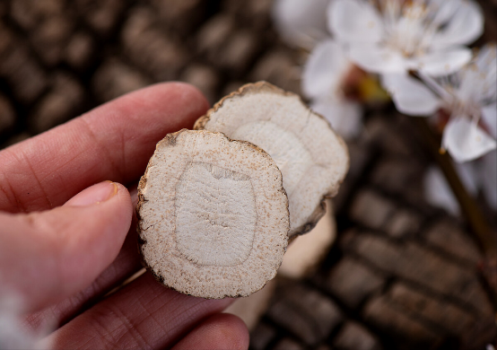 西兰花|一家三口查出甲状腺癌！医生：都是这1“水果”惹的祸，白给都别要