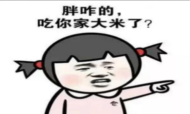 |家有小胖墩怎么办
