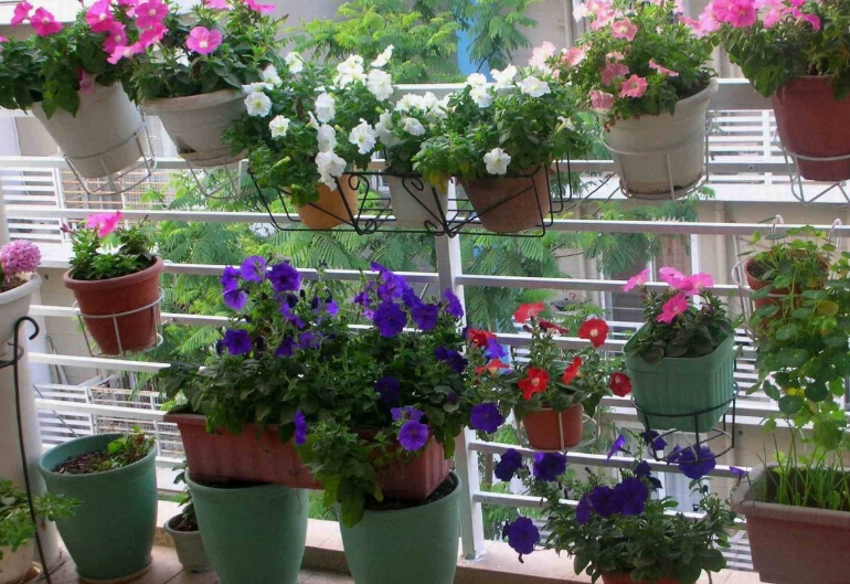 阳台只能晾衣服吗?那就证明你的阳台来利用了,这样的改造太香了