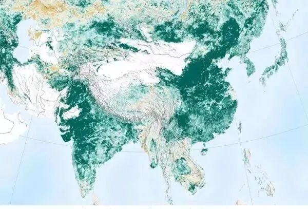 二氧化碳|沙漠为什么能吸收大量的二氧化碳？