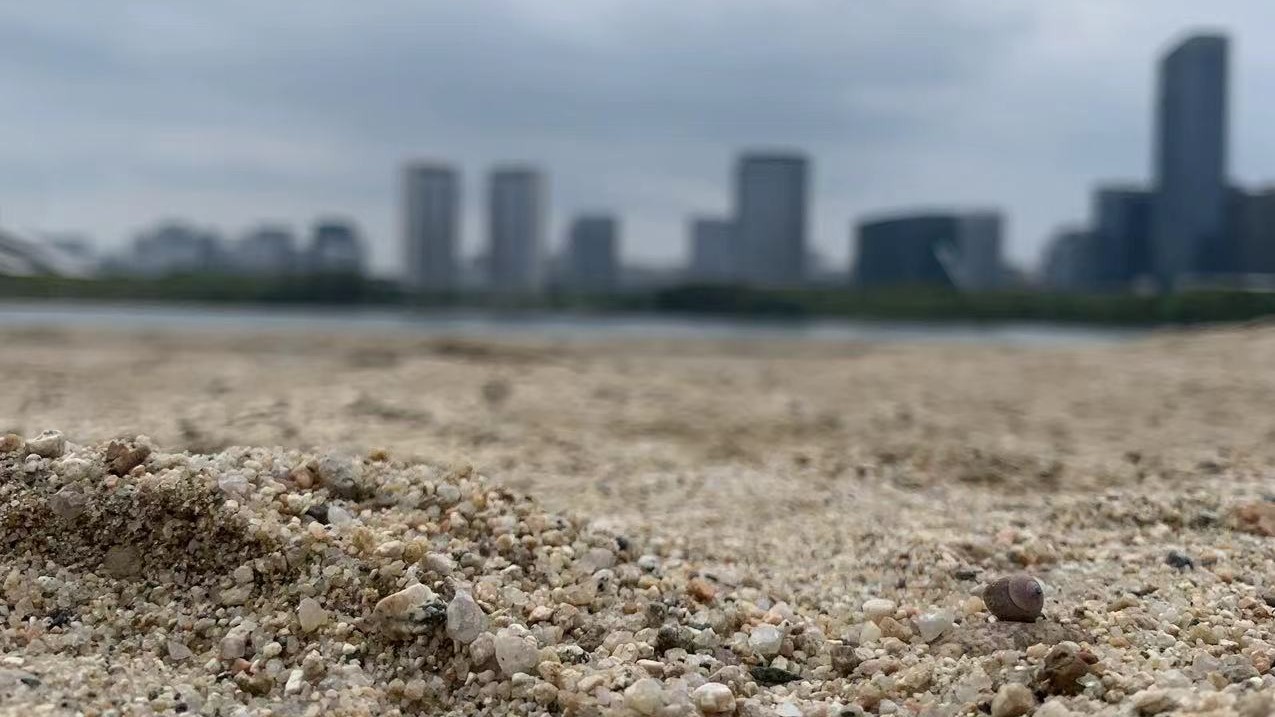 裁员|公司常见的裁员方法