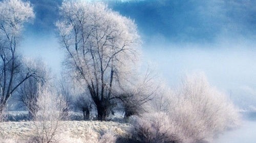 手机壁纸|美轮美奂手机壁纸