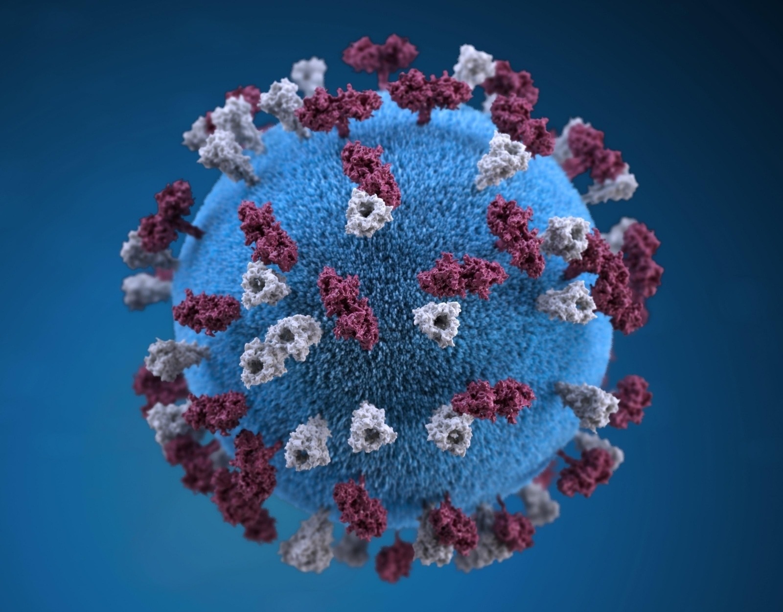 新冠病毒可能终将缩减人类寿命