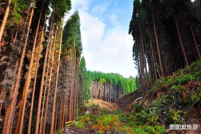 |四川一定要去的景区，数年前只是一片原始荒野，如今游客络绎不绝