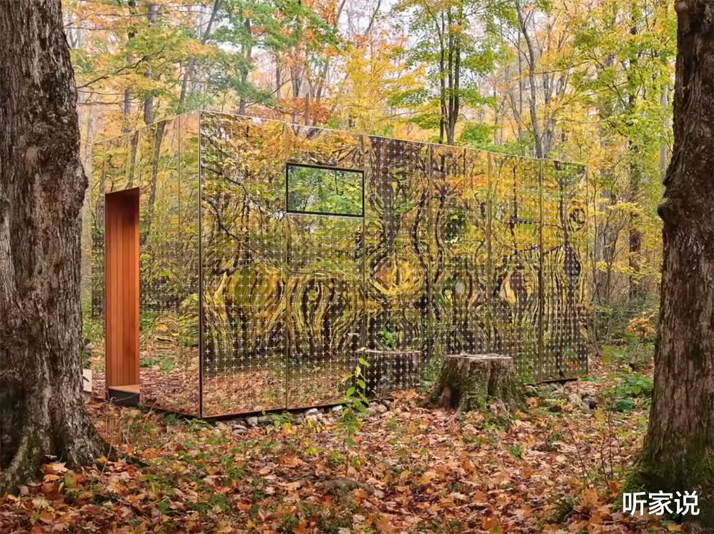 33岁老哥隐居森林中，亲手建起18㎡“隐形”蜗居，网友：太佩服了