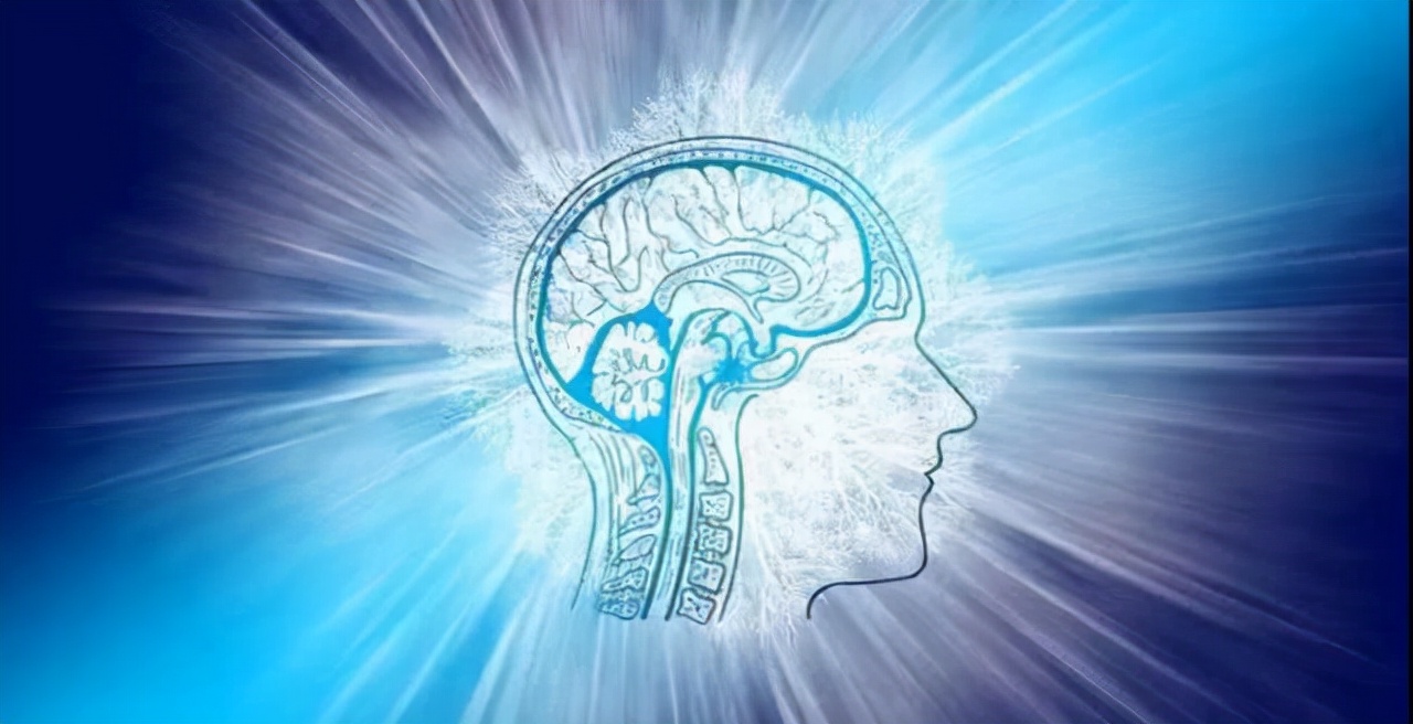 算法|专注脑神经健康领域，织生科技完成首轮千万融资