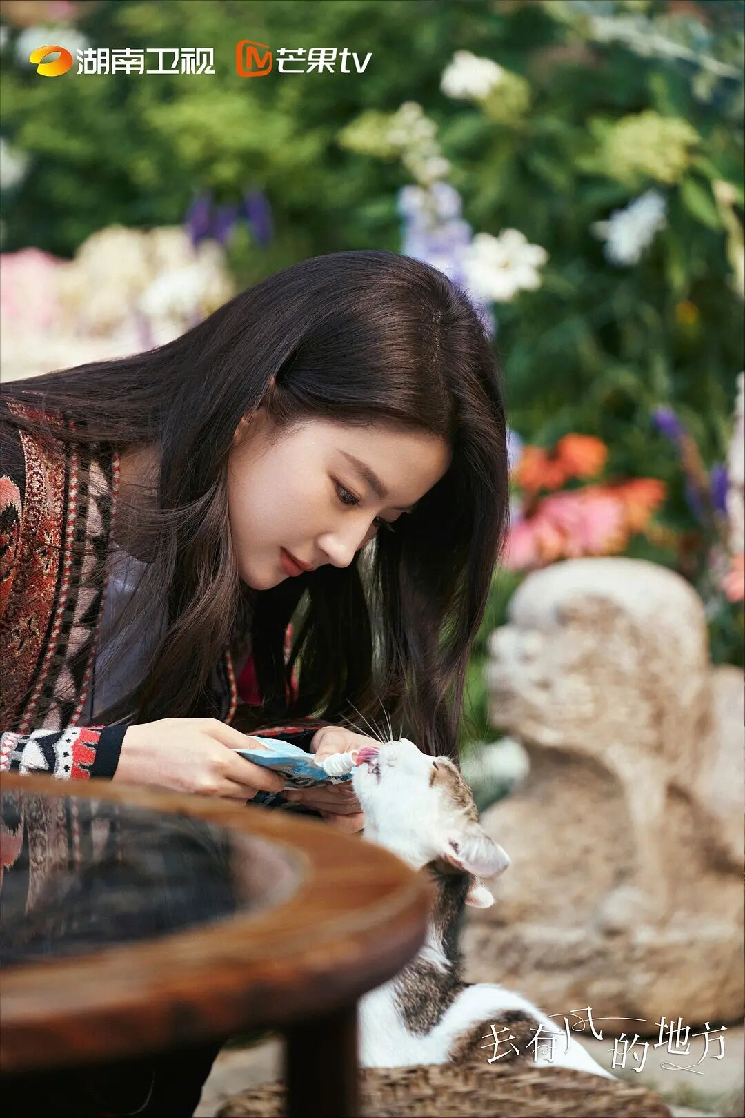 刘亦菲《去有风的地方》要出同名综艺了，拟邀陈坤、周迅、舒淇