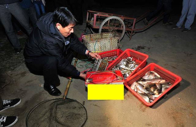 实拍:库页岛成群大鱼躺在草滩,大多半米长一条,网友眼馋