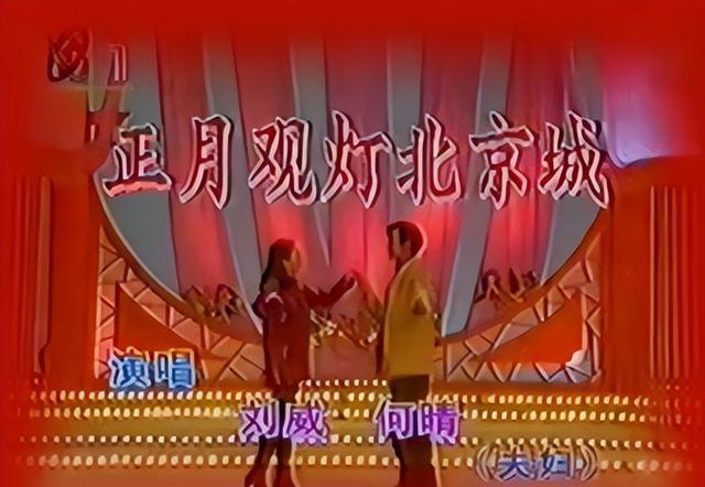 何晴|何晴：给了刘威青春，给了许亚军孩子，为何转身嫁给大9岁的廖京生